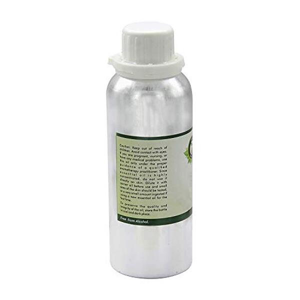 Découvrez notre test complet de l'huile essentielle ail R V Essential 630 ml : composition, bienfaits, utilisation et avis consommateurs pour cette solution naturelle. 
