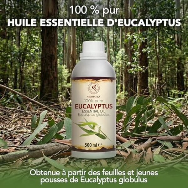 Découvrez notre test détaillé de l'huile essentielle d'eucalyptus Parfums d'Intérieur 500 ml. Efficacité, qualité et utilisation : tous nos avis pour bien choisir.